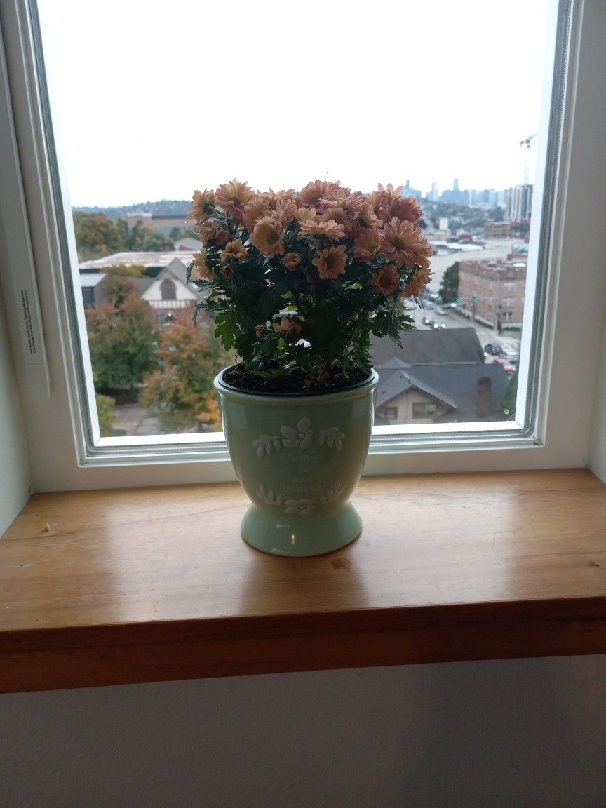 Fall Fleurette Plant With Decorative Pot