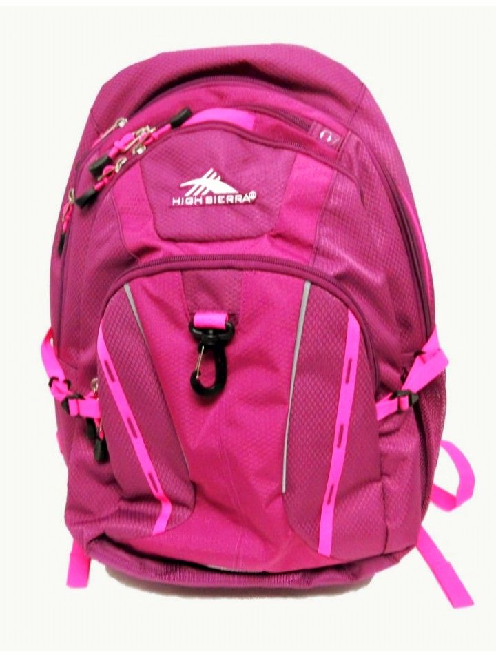 High Sierra Multi Compartment Padded Backpack 