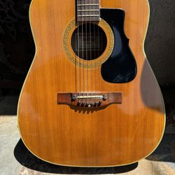 Ventura Guitar 