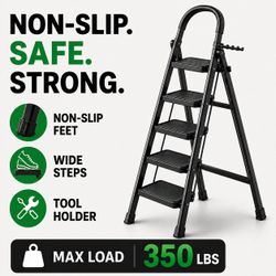 5-Step Ladder