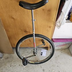 Unicycle, Avenir