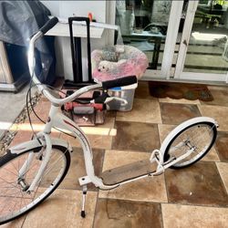 Beautiful Skateboard 