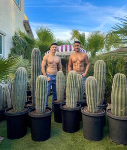 Large Cardon Saguaro