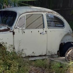 15 Inch 1970 Bug