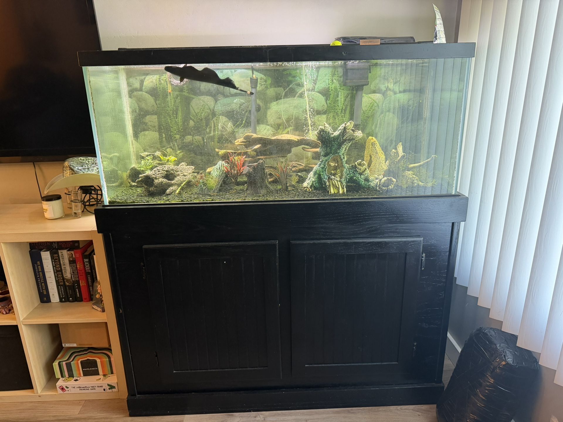 Fish Tank 