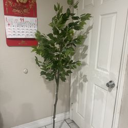 Fake Ficus Tree 6FT Tall Faux Plant(72" in), Indoor Fake Fig Tree with Natural Wood Trunk & Lifelike Fruits, Artificial Plants Perfect for Modern Home