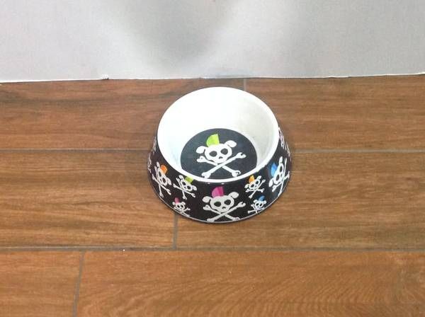 Dog Bowl