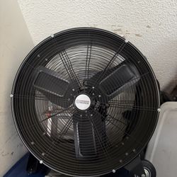 Fan