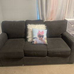 Pull Out Couch 
