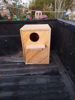 Nido Para Pájaros