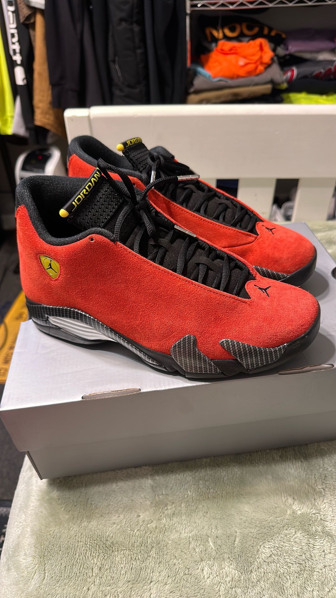 9.5 2025 Ferraris $220 FIRM
