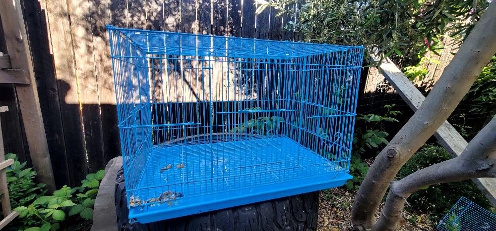 Bird Cage
