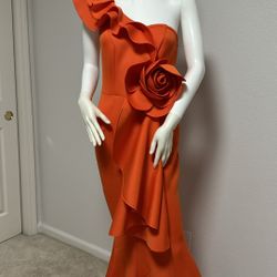 Brandnew Beautiful Dress Size Small Stretchable Retail Value $289.99 + Tax 