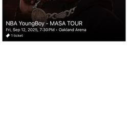 Concert Tickets 