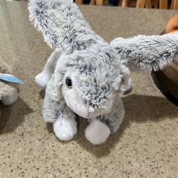 Plush Bunnies