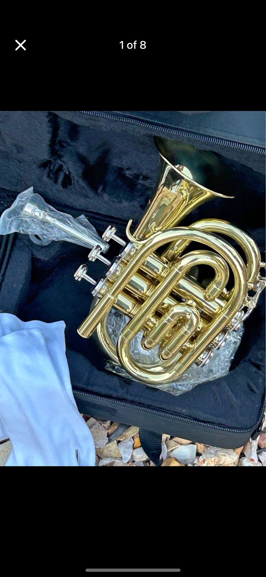 Pocket trumpet. ๐บ