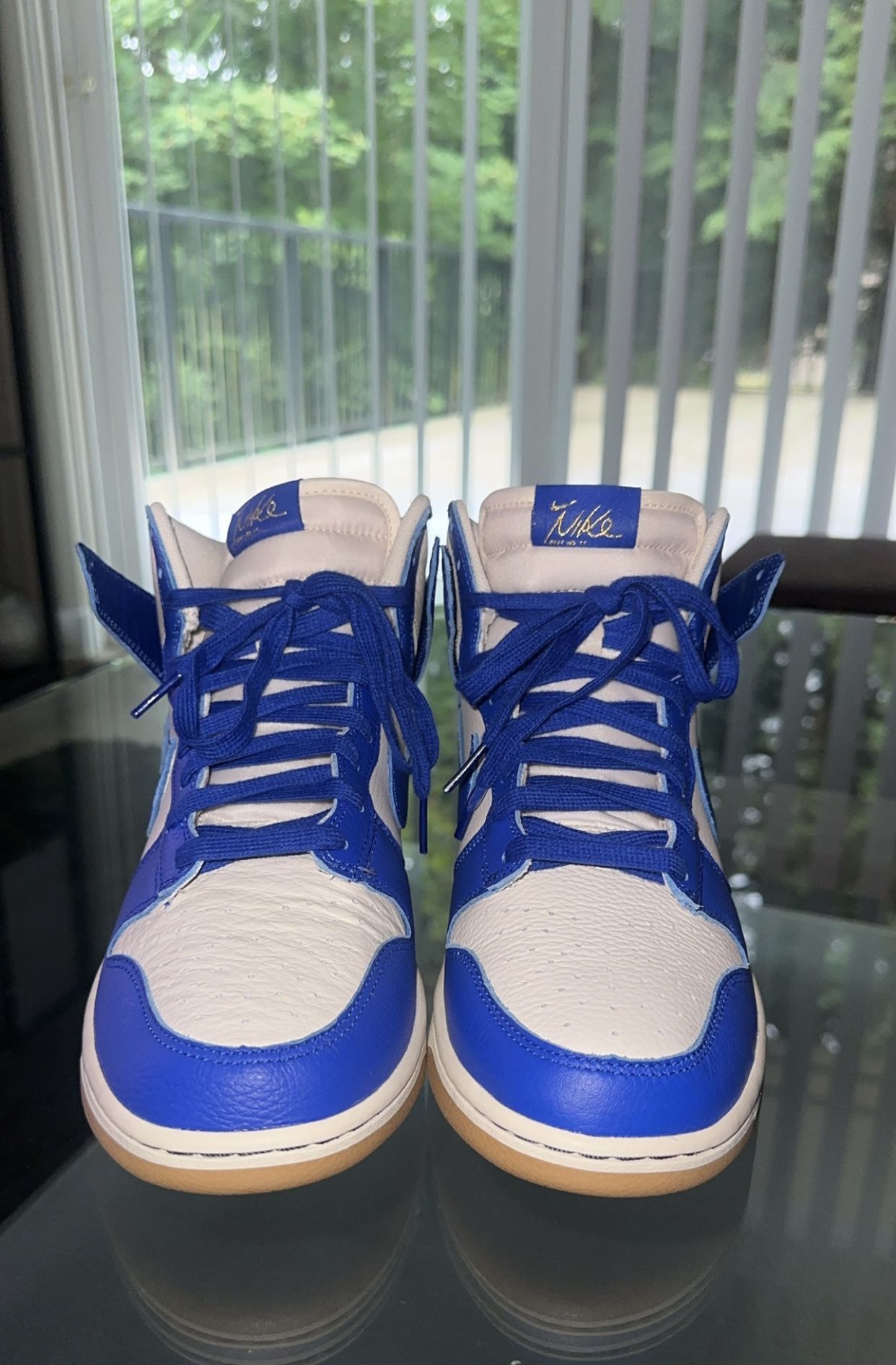 Nike dunk Hi Retro