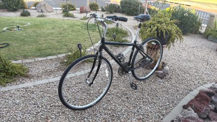 BICYCLE- MARIN -KENTFIELD