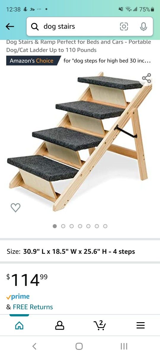 Dog Stairs 