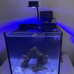 Nano Fish Tank