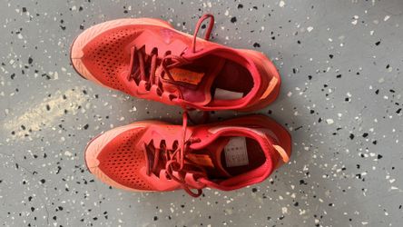 Nike Hiking Shoes