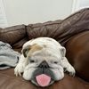 Benny 