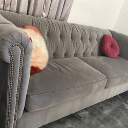 Velvet Gray Couch