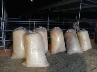 Wood Shavings....Livestock,Horse bedding