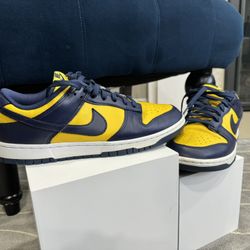 Nike Dunk Low michigan dd1391-700