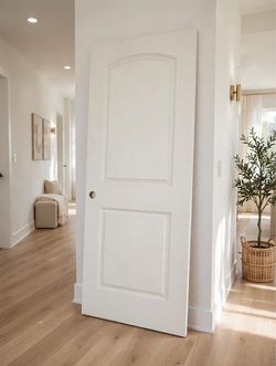 White 2-Panel Arch Top Interior Door
