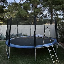 Free Trampoline 