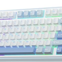 Gaming Keyboard Aula F75