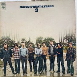 Blood Sweat & Tears- 3