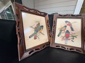 framed bird lithogram prints