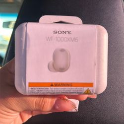 Sony WF-1000XM6