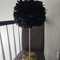 Black Feather Lamp
