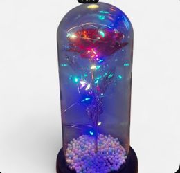 Light up rose globe