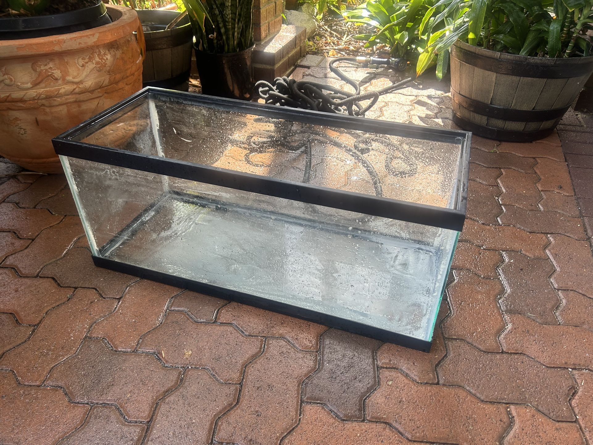 20 Gal Long Fish Tank