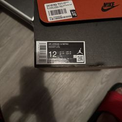Jordan 12 Flu Game 