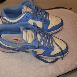 Nike Dunks Sz9.5