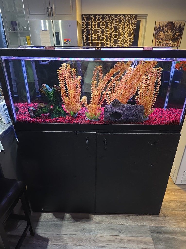 Fish Tank - 75 Gallon