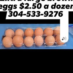 Extra Large Brown Eggs Farm Fresh