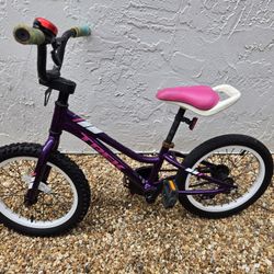 Trek Kids Bike