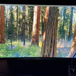 Monitor CRUA Curve 24”