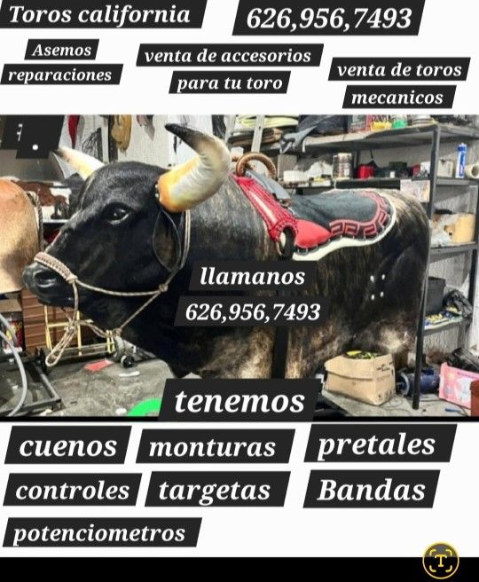 Mechanical Bull //// Toro Mecanico