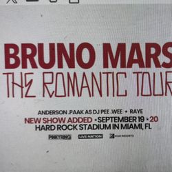 Bruno Mars Concert. Miami. Lower Bowl 