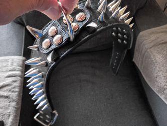 Spiked Dog collars