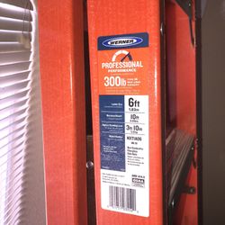 Werner 6ft Ladder