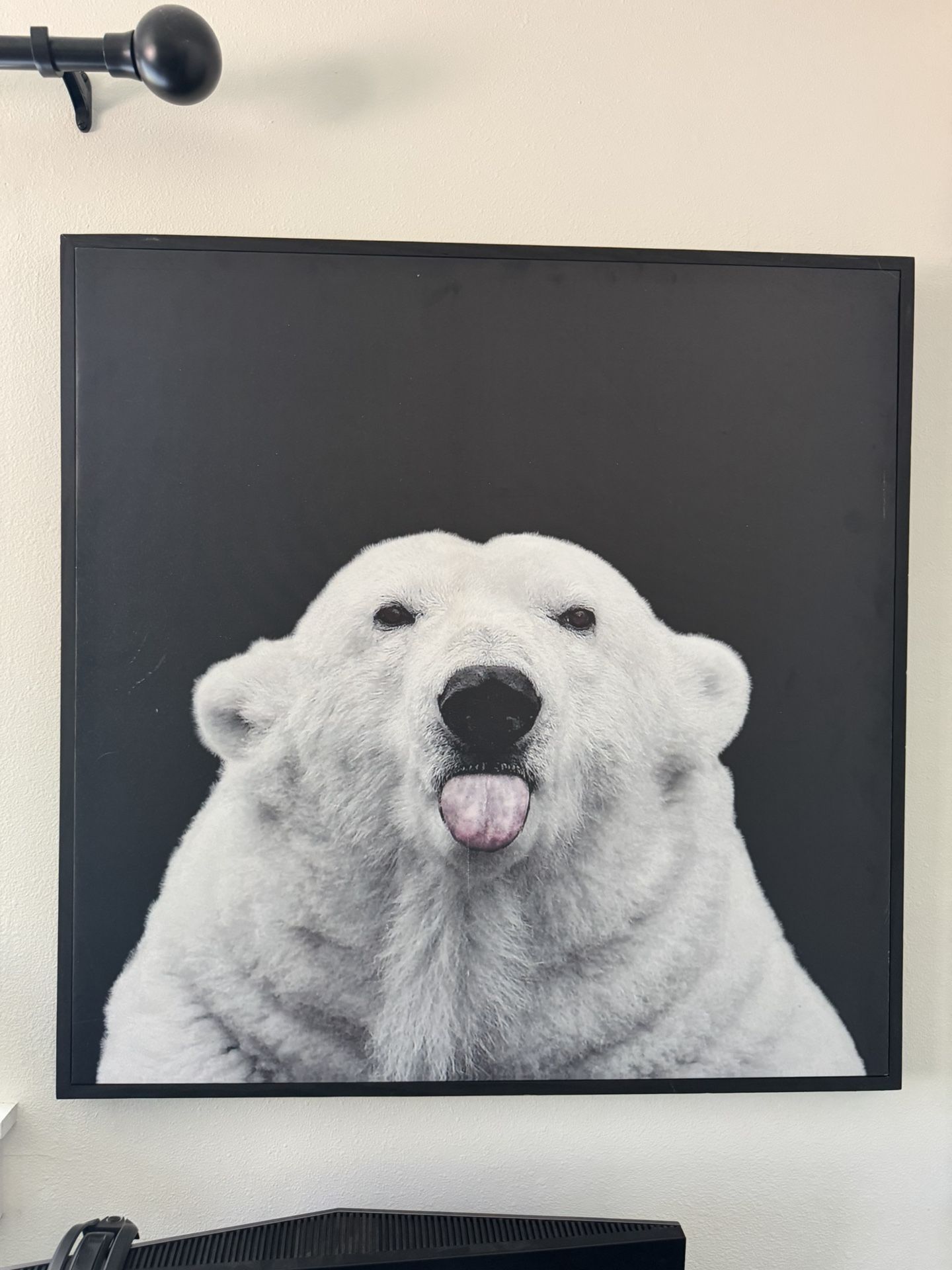 Polar bear Frame.