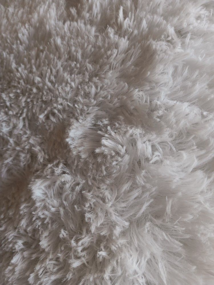 White Carpet Shag Fluffy